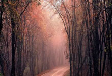 开云下载-那不勒斯惊天绝杀哥伦比亚,托雷斯点燃世界狂潮