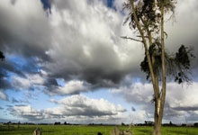 开云体育在线-西班牙男篮爆冷击败芝加哥公牛,布克刷新历史纪录引发篮球热潮