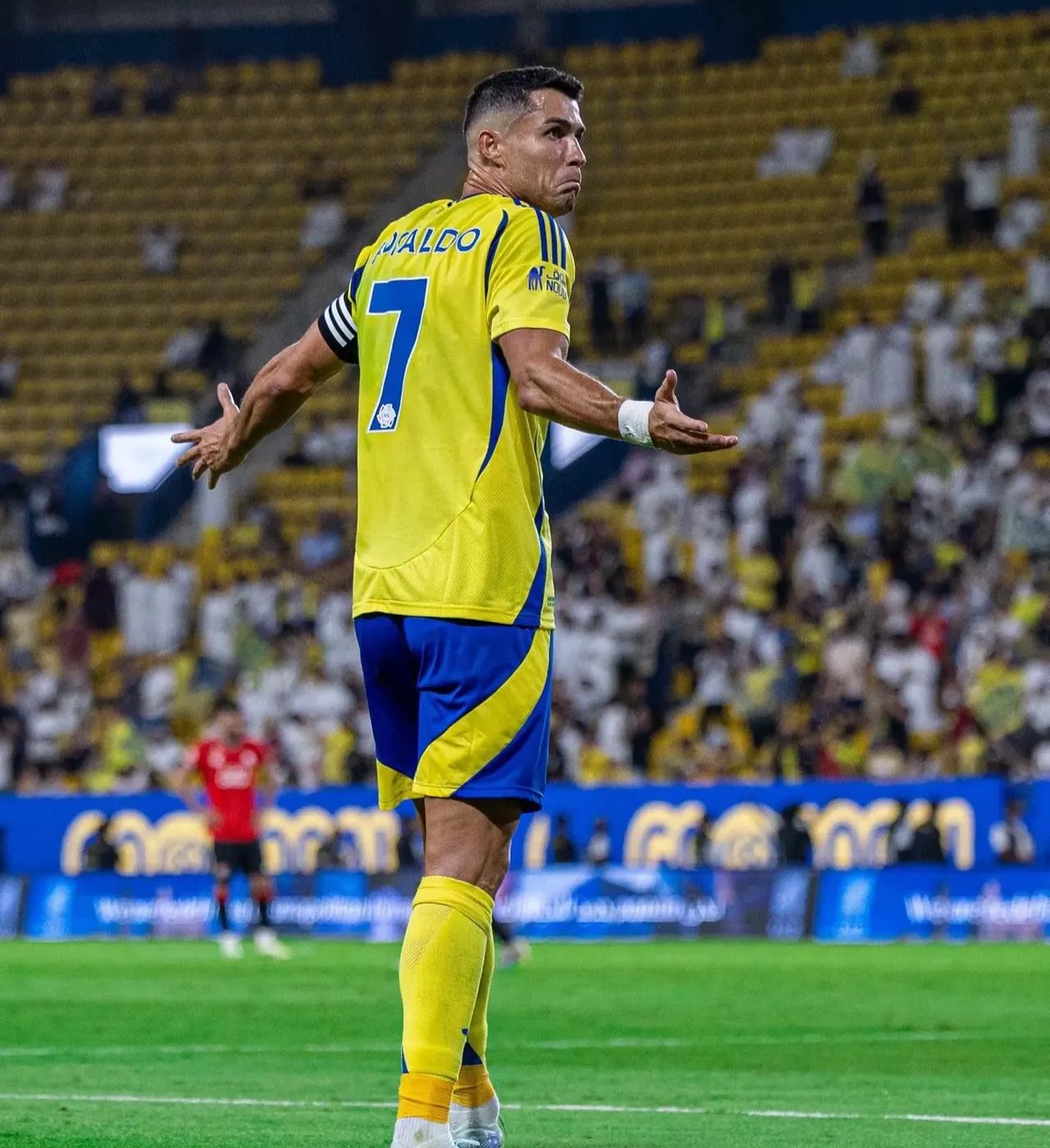 高尔夫明星C罗将退赛