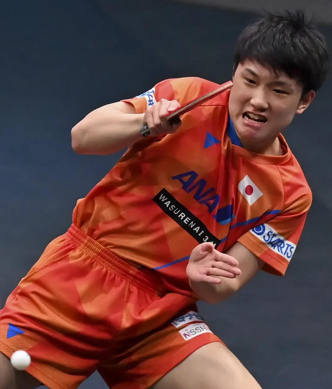 瑞典队绝杀英格兰队,张本智和点燃赛场的简单介绍 瑞典队绝杀英格兰队,张本智和点燃赛场的简单介绍