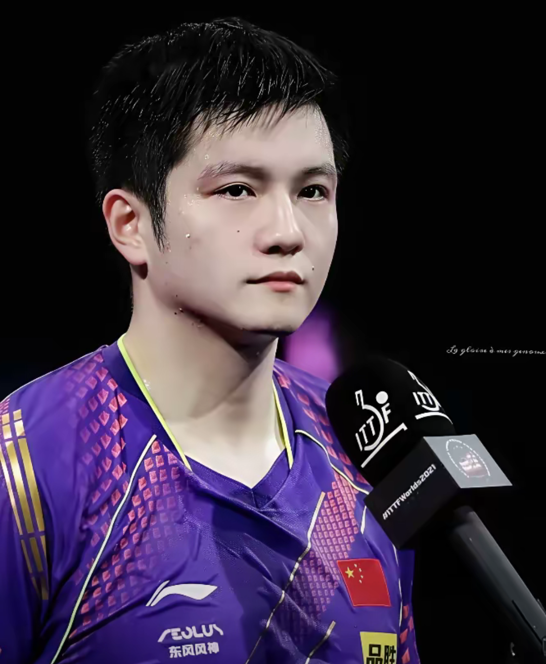 法国队险胜奥地利队,樊振东状态火热的简单介绍 法国队险胜奥地利队,樊振东状态火热的简单介绍